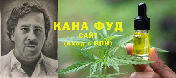 стаф Богородск