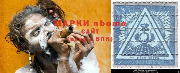 стаф Богородск