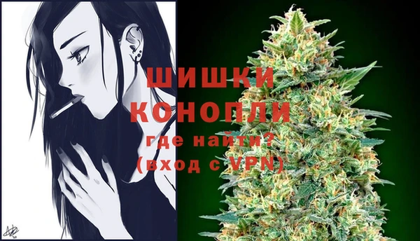 ГАЛЛЮЦИНОГЕННЫЕ ГРИБЫ Беломорск