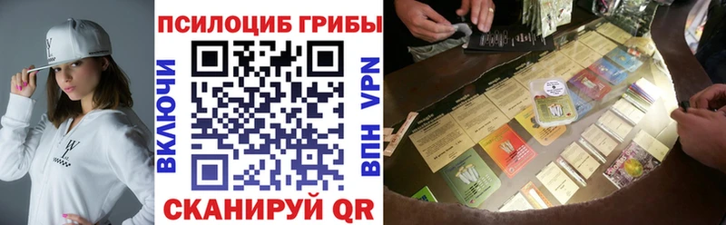 где купить наркотик  нарко площадка наркотические препараты  Псилоцибиновые грибы мицелий  Емва 